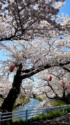 20190422ʿ褤κ沼7