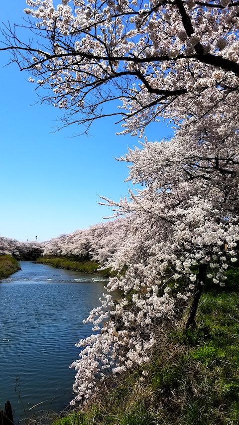 20190422ʿ褤κ沼9