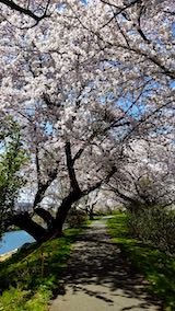 20190422ʿ褤κ껳1