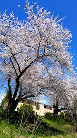 20190422ʿ褤κ껳3
