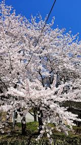 20190422껳Ŀκ