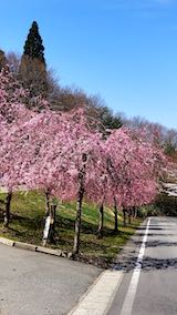 20190422Ŀλ޿