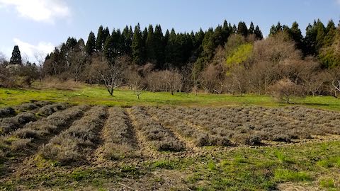 20190422٥Ȫͻ