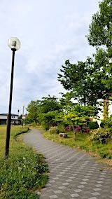 20190531®θ