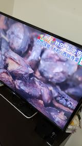 20191019ƥ2