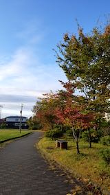 20191026速歩途中の公園内の紅葉と南の空