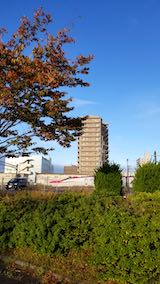 20191026速歩途中の公園内の紅葉とこまち号