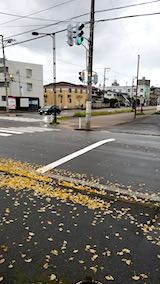 20191114ͻ̤