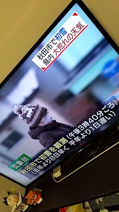 20191114NHKƥӽĻԤǽ¬5