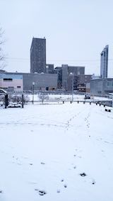 20191204速歩途中の公園高台から望んだ北の空