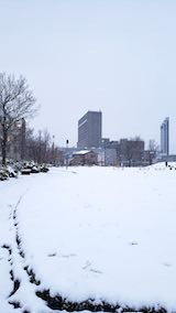 20191204速歩途中の公園と北の空