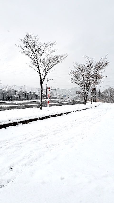 20191204外の様子太平山