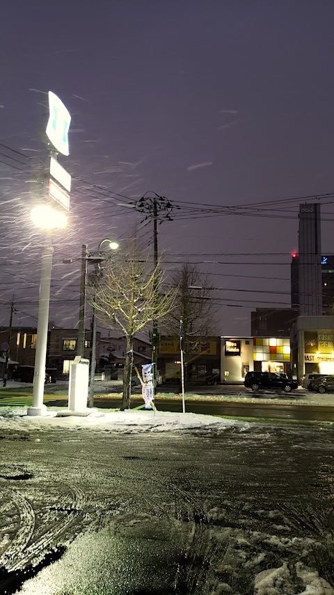 20191204外の様子夕方雪降り1