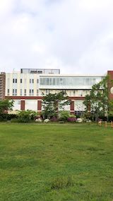 20200529速歩途中の公園高台から望んだ西の空