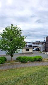 20200607速歩途中の公園高台から望んだ東の空