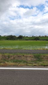 20200620山へ向かう途中の田んぼと空の様子