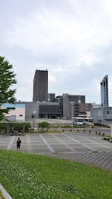 20200625®θ椫˾̤ζ