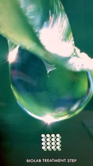 20210223_170943Biolab