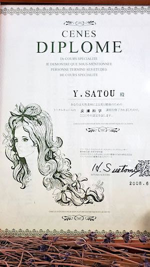CEVES_Diploma