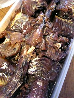 20060812ボーダラ