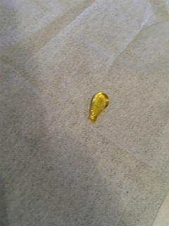 20060812ログハウスの涙