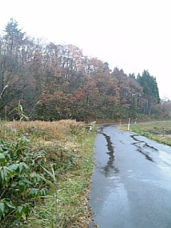 20061120初冬の峠道