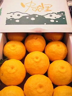 2006121ゆず玉1