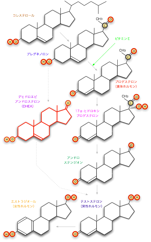 20061215ۥ1