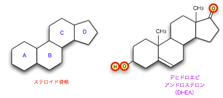 20061215ۥ