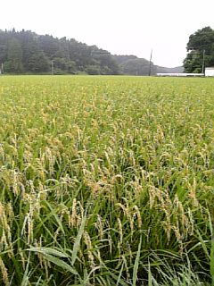 20070831