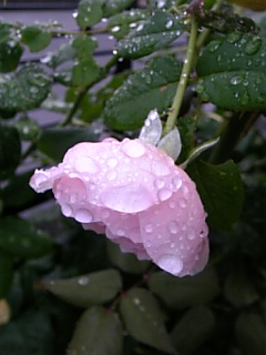 20070831夬ΥХ1