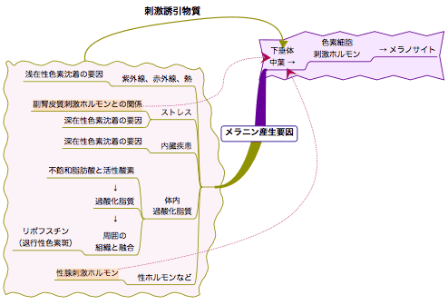 20070831˥װ