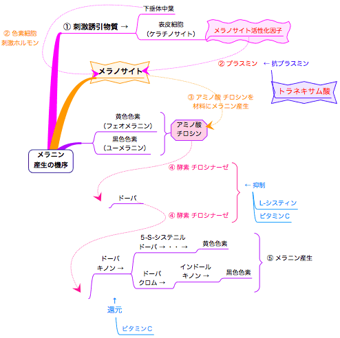 20070831˥ε