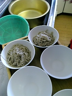 20080504そば打ち18