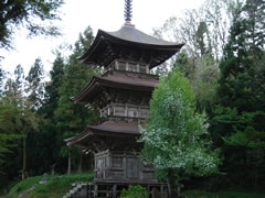 20080504法用寺三重の塔