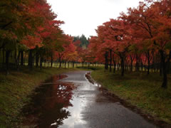 20081102̰ι014