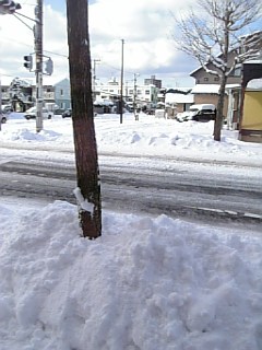 20090114道路の様子1