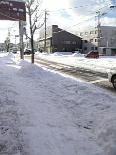 20090114道路の様子2