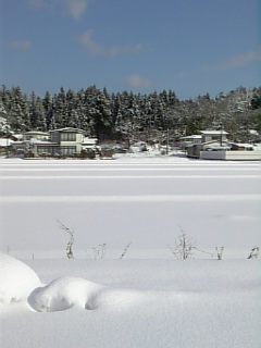 20090114雪景色1