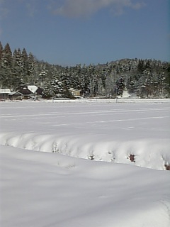 20090114雪景色2