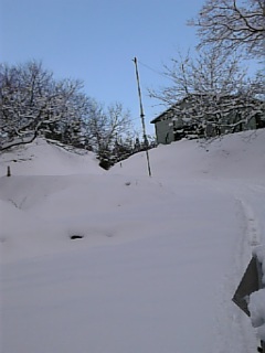 20090114雪景色5