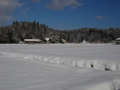 20090114雪景色038