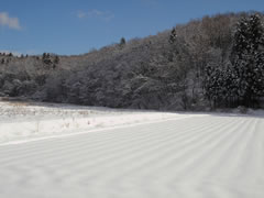 20090114雪景色041