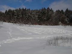 20090114雪景色051