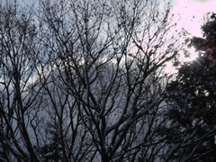 20090114雪景色052