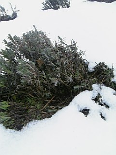 200902153