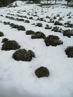 200902154