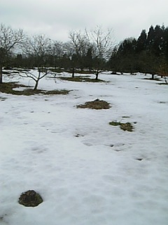 200902155