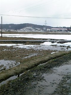 200902156