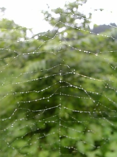 20090721